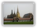 In Bangkok darf ein Besuch im Goldenen Tempel nicht fehlen!!!